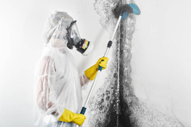 Best Comprehensive Air Testing for Mold Contaminants  in Utqiagvik, AK