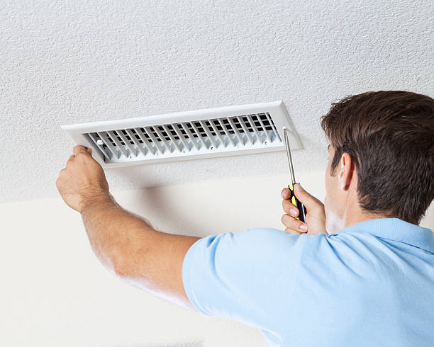 Best Basement Mold Removal  in Utqiagvik, AK
